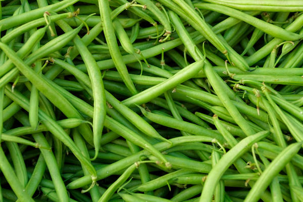 🥣 Cooking green beans