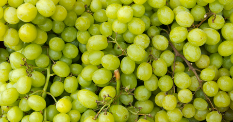 🍇 Tout savoir sur le raisin - Neary - Livraison panier de fruits et légumes