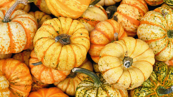 Combien pèse une courge moyenne ?
