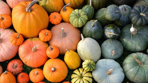 🥶 Congeler potimarron facilement : cru, blanchi ou cuit – Neary - Neary - Livraison panier de fruits et légumes