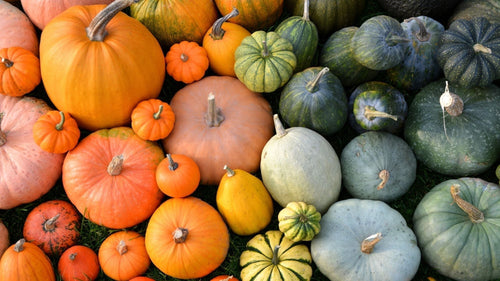 🥶 Congeler potimarron facilement : cru, blanchi ou cuit – Neary - Neary - Livraison panier de fruits et légumes
