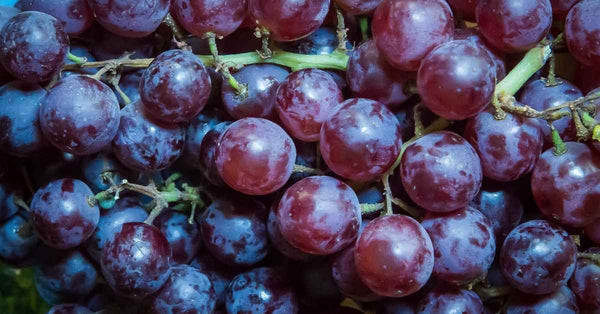 Tout savoir sur l’appellation AOP Ventoux : du vignoble au raisin de table
