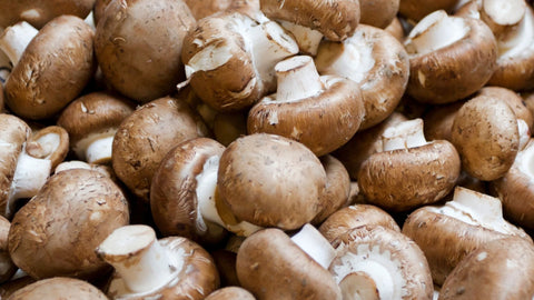 Congeler champignons : cru, blanchi ou cuit