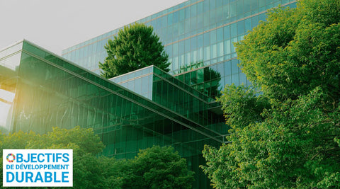 6 étapes pour intégrer les Objectifs de Développement Durable dans votre entreprise - Neary - Livraison panier de fruits et légumes