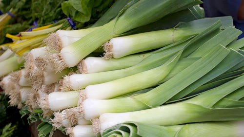 Congeler poireaux : cru, blanchi ou cuit