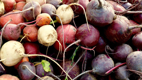 Congeler betteraves : cru, blanchi ou cuit