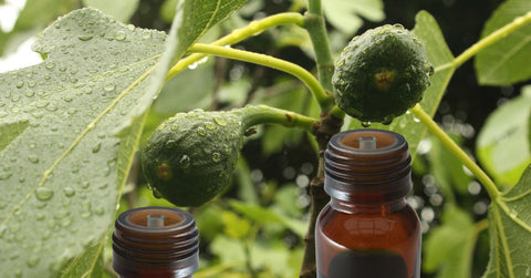 Huile de figue : Bienfaits, utilisation et conseils pour une peau éclatante - Neary - Livraison panier de fruits et légumes