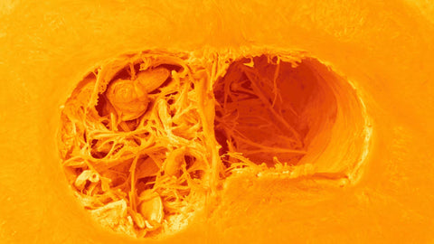 Courge filandreuse : causes & solutions rapide 🥒