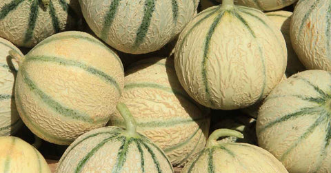 Cette astuce de génie va totalement changer le goût de votre melon ! - Neary - Livraison panier de fruits et légumes