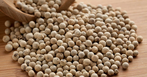 Poivre blanc : guide complet — choisir, conserver, cuisiner