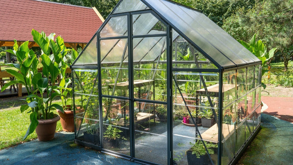 Comment prolonger la saison des légumes avec une serre