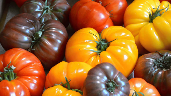 Produits Frais & Gain de Temps : Le Secret du Quotidien