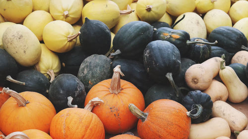 Quelle courge a le meilleur goût ?