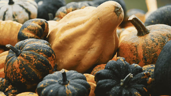 Comment savoir si une courge est encore bonne à manger