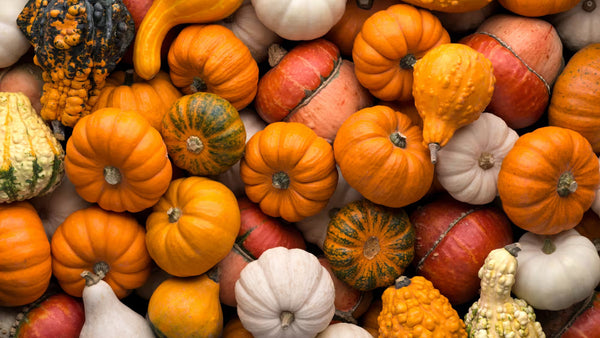 Quelle est la différence entre courge et potiron ?
