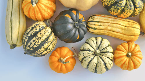 Pourquoi ma courge a un goût amer ?