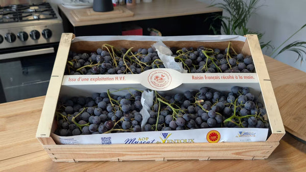 Muscat grapes: should you wash them before eating them? 