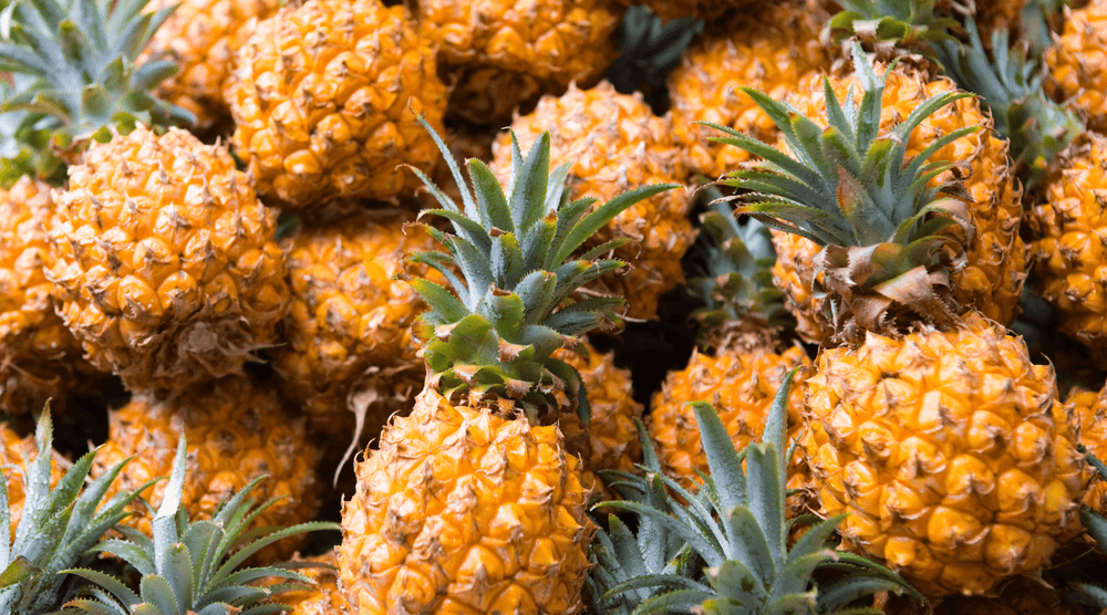 Non, l'ananas ne pousse pas sur un arbre ! - Neary