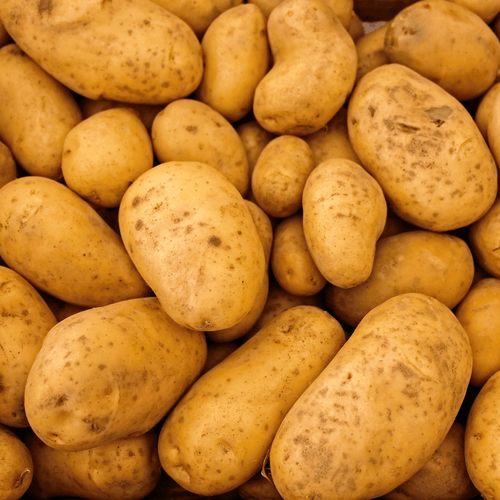 🥔 Tout savoir sur la pomme de terre