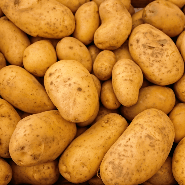 🥔 Tout savoir sur la pomme de terre