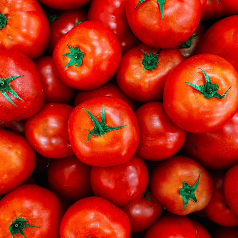 Pourquoi les tomates n'ont-elles plus de goût ? - Neary