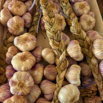 Ail Violet de France en Tresse – 1 kg