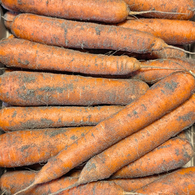 🥕 Carottes des Sables de Créances - Label Rouge (Non Lavées)