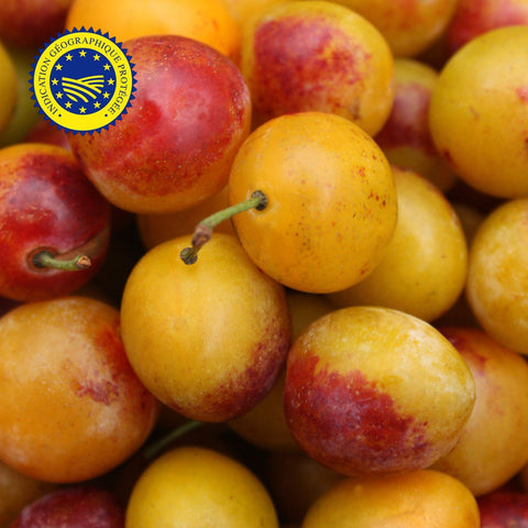 🍑 Mirabelle plums from Lorraine – 1kg