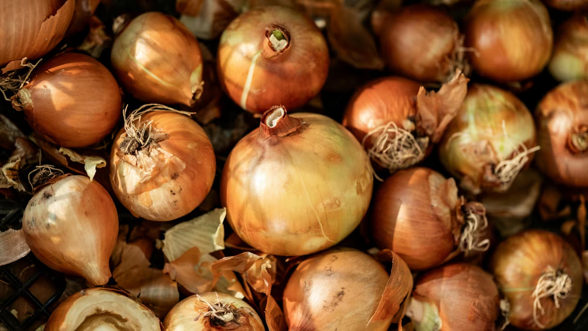 Röstis croustillants