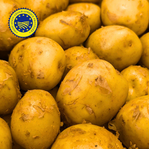 🥔 Noirmoutier Potato – Sirtema – 1kg
