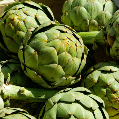 🌿 Calico Artichoke – 1 Piece (Size 11)