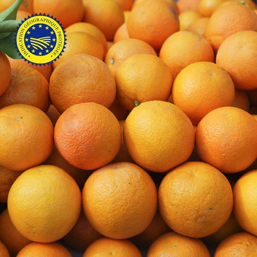 🍊 Oranges à jus Navelina IGP – 1kg