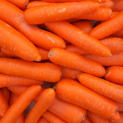 🥕 Carottes Primeur Françaises – 1 kg