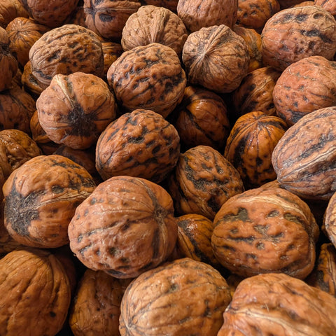 🌰 Noix françaises – Variété Lara – 5 kg – Calibre 36+