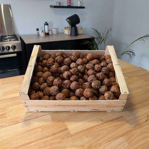 🌰 Noix françaises – Variété Lara – 5 kg – Calibre 36+