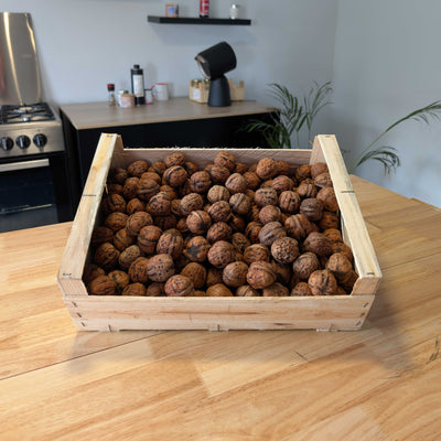 🌰 Noix françaises – Variété Lara – 5 kg – Calibre 36+
