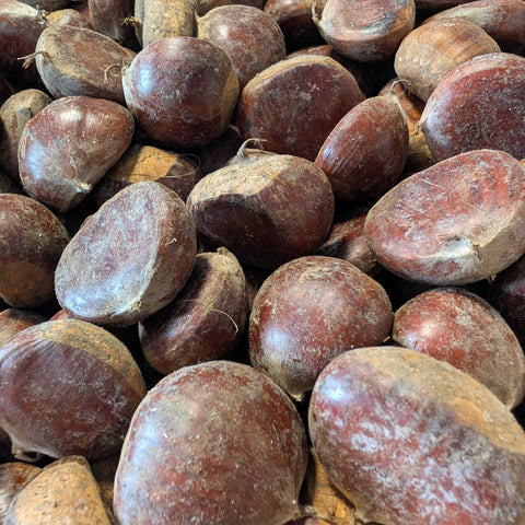 🌰 Châtaignes Bouche de Bétizac – 5 kg