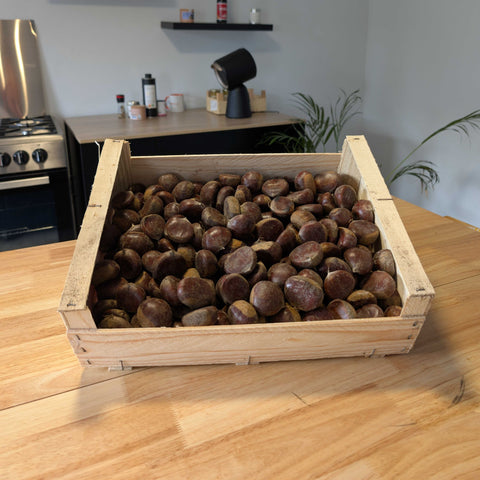 🌰 Châtaignes Bouche de Bétizac – 5 kg
