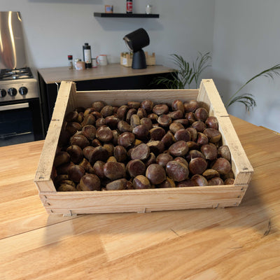 🌰 Châtaignes Bouche de Bétizac – 5 kg