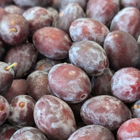 🍑 Colis de Quetsches de Lorraine – 5 kg