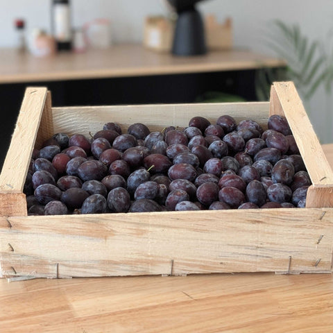 🍑 Colis de Quetsches de Lorraine – 5 kg