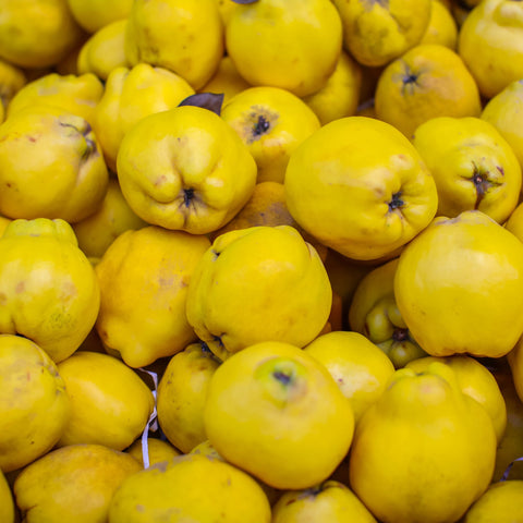 🍐 Coing – 1 kg
