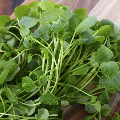 🌿 Cresson frais – 1 botte (≈ 500 g)