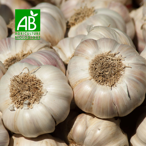 🧄 Ail nouveau BIO – 500 g