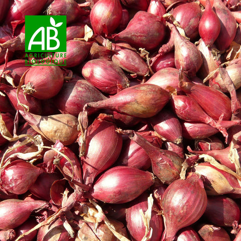 🧅 Échalotes françaises – 500 g
