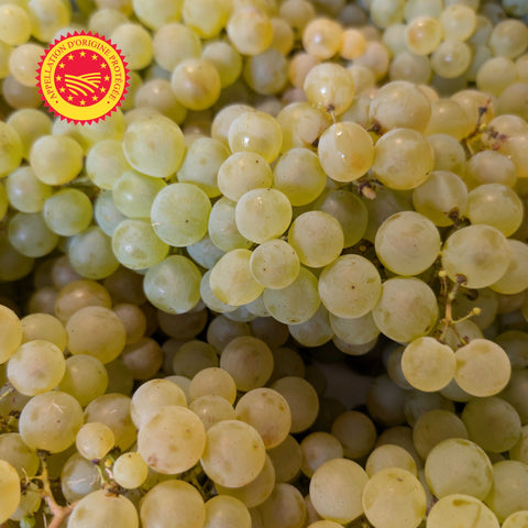 🍇 Colis de Raisin Chasselas de Moissac AOP – 4 kg