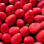 Barquette de fraises de 1kg - Origine Espagne