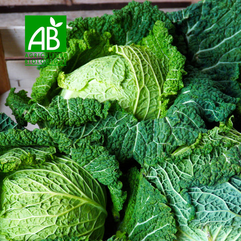 🥬 Chou Frisé BIO – 1 Pièce