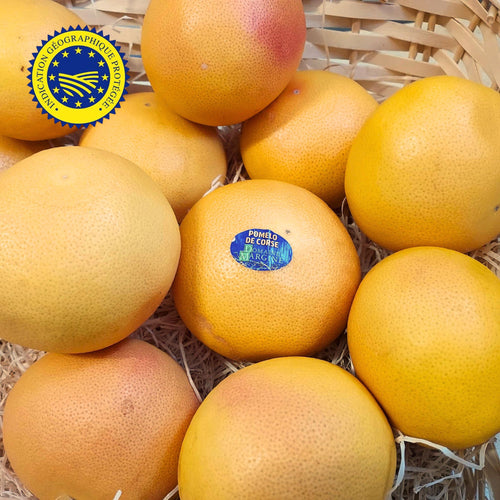 🍊 Caisse de Pomelos de Corse IGP – 4kg