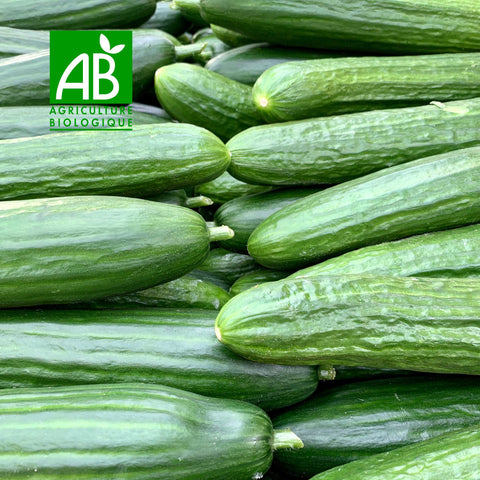 🥒 Organic long cucumber – 1 piece